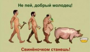 А сколько стадий алкоголизма знаете вы?