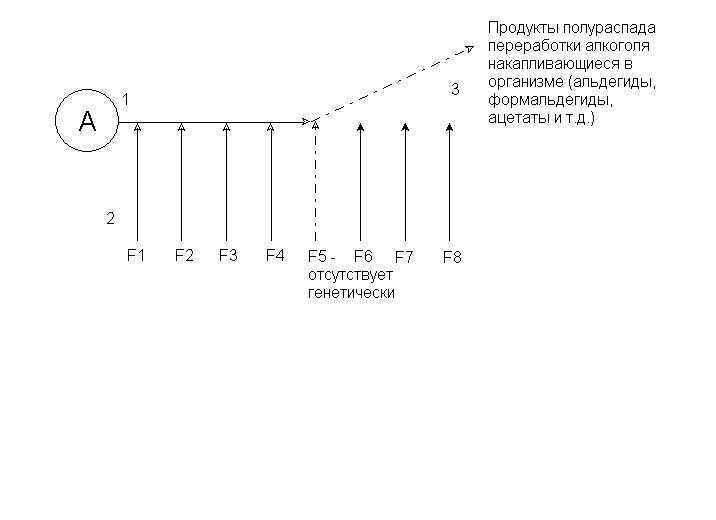 sxema2.jpg
