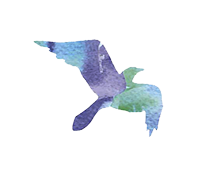 lp29032016.png